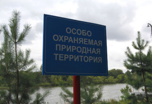 ЭКОРЕЙД продолжает держать на контроле состояние памятника природы 