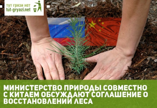 Министерство природы совместно с Китаем обсуждают соглашение о восстановлении леса