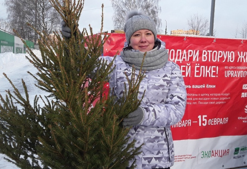 Ежегодная экоакция «Подари вторую жизнь своей елке!» начнется в Подмосковье 15 января