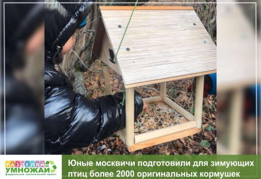 Юные москвичи подготовили для зимующих птиц более 2000 оригинальных кормушек