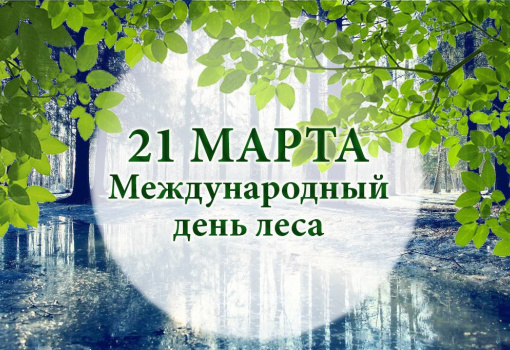 Международный день лесов ежегодно отмечается во всем мире 21 марта
